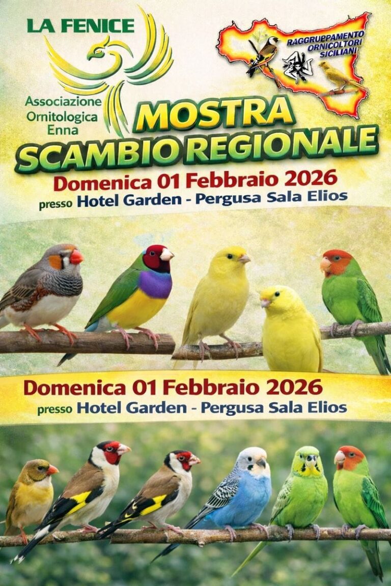 mostra scambio