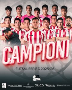 campioni serie D