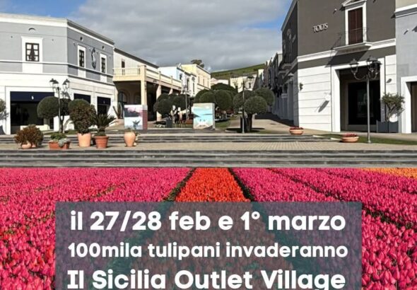 tulipani