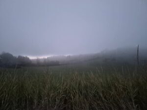 meteo 1