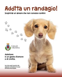 cane 1