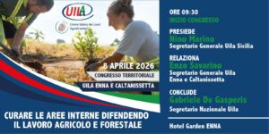 uila 1