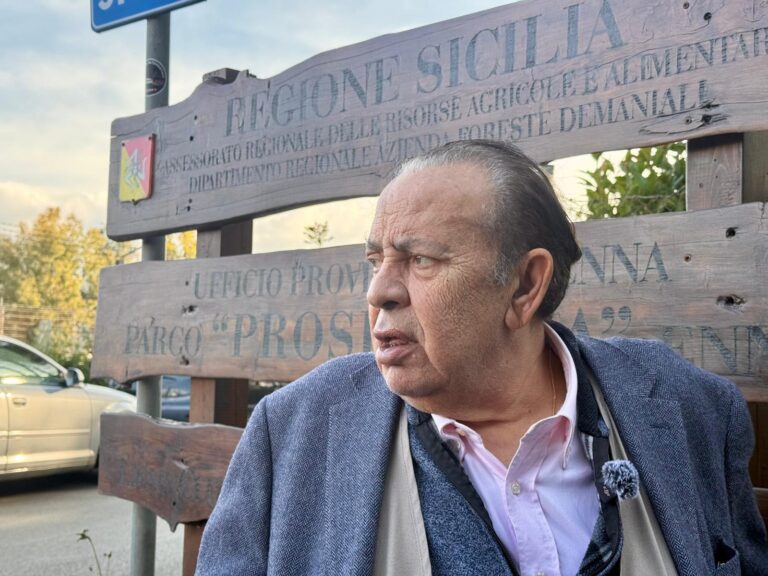 Senatore Crisafulli davanti parco Proserpina
