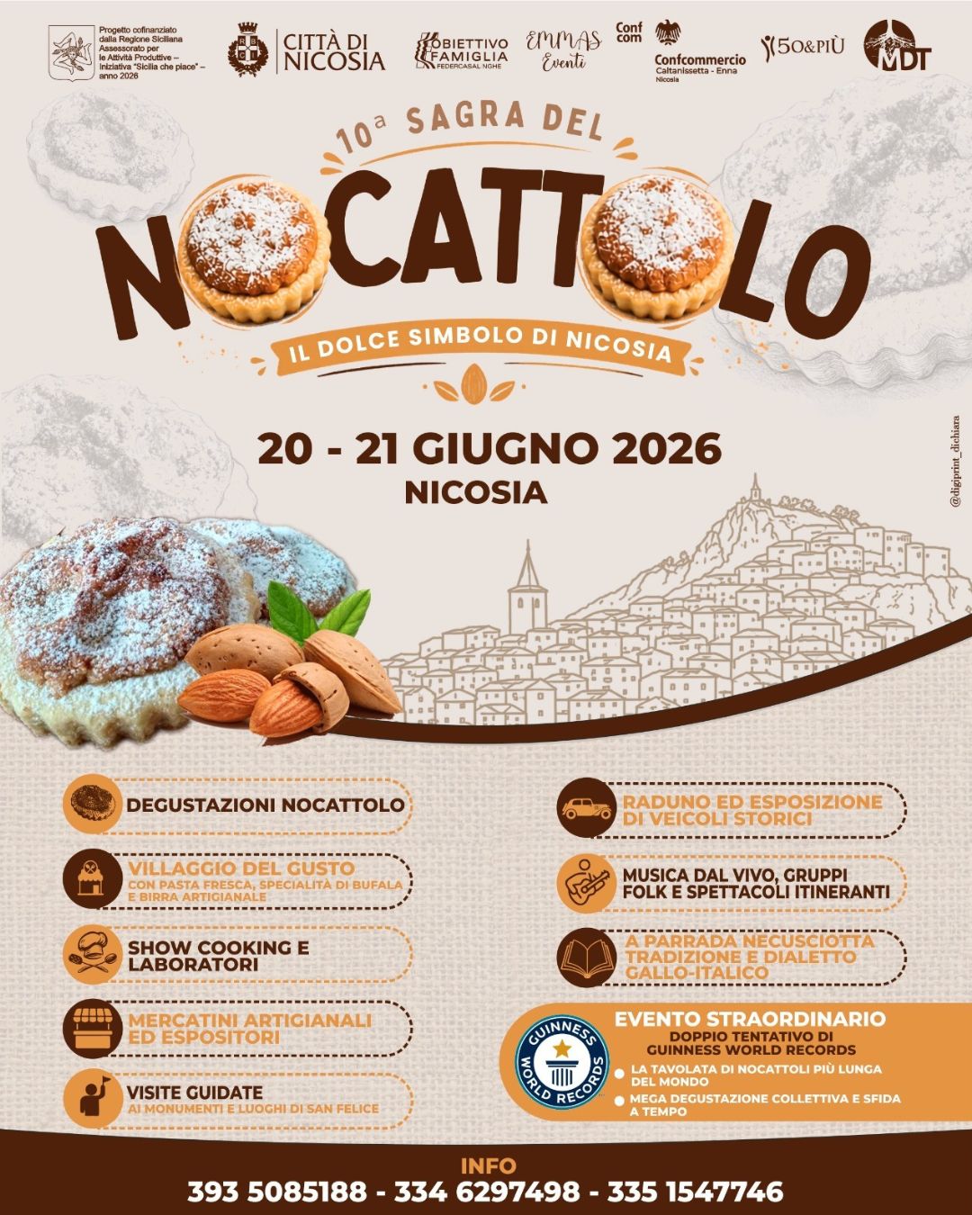 locandina Sagra del Nocattolo