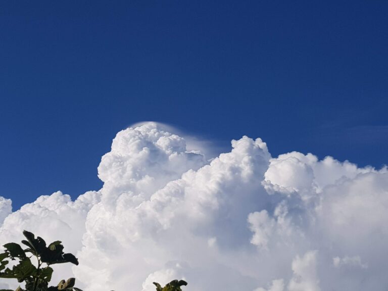 meteo 30