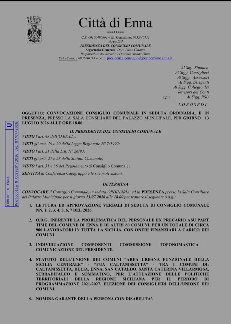 consiglio comunale