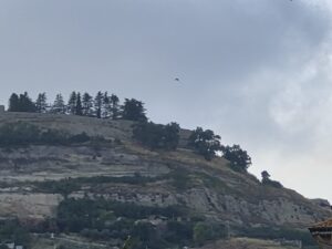 meteo 47