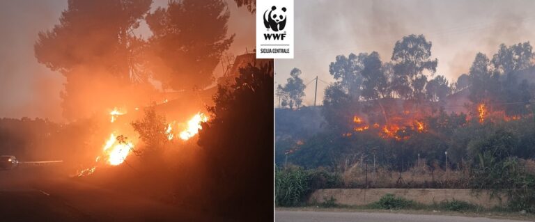 Foto incendio sancataldo