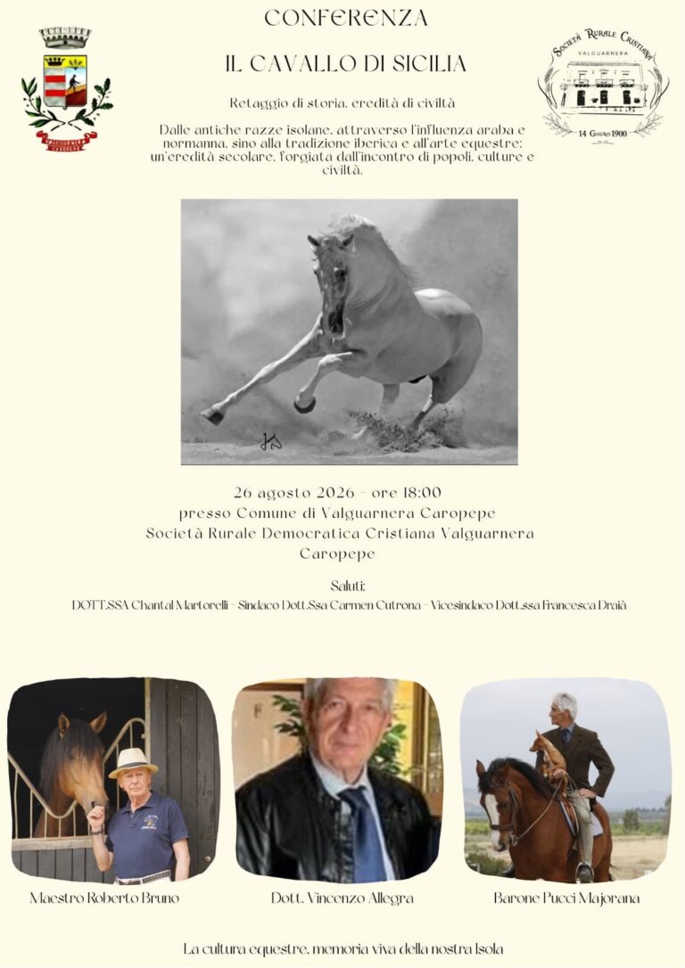cavallo