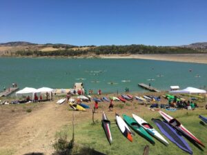 lago 5