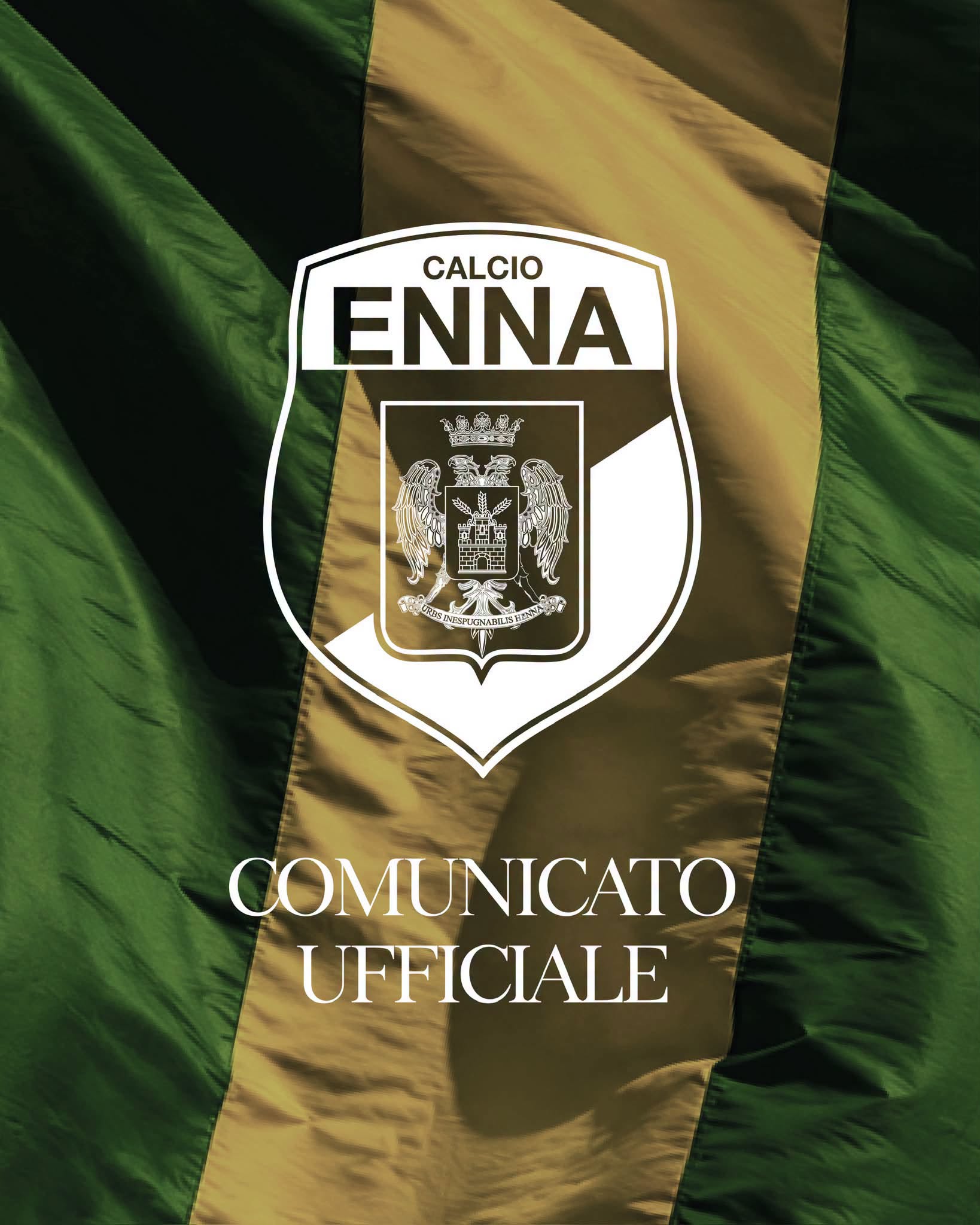 logo enna 1