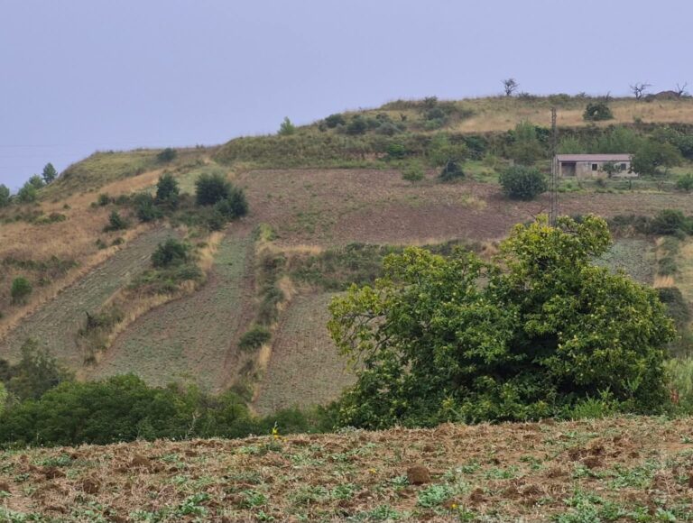 meteo 12