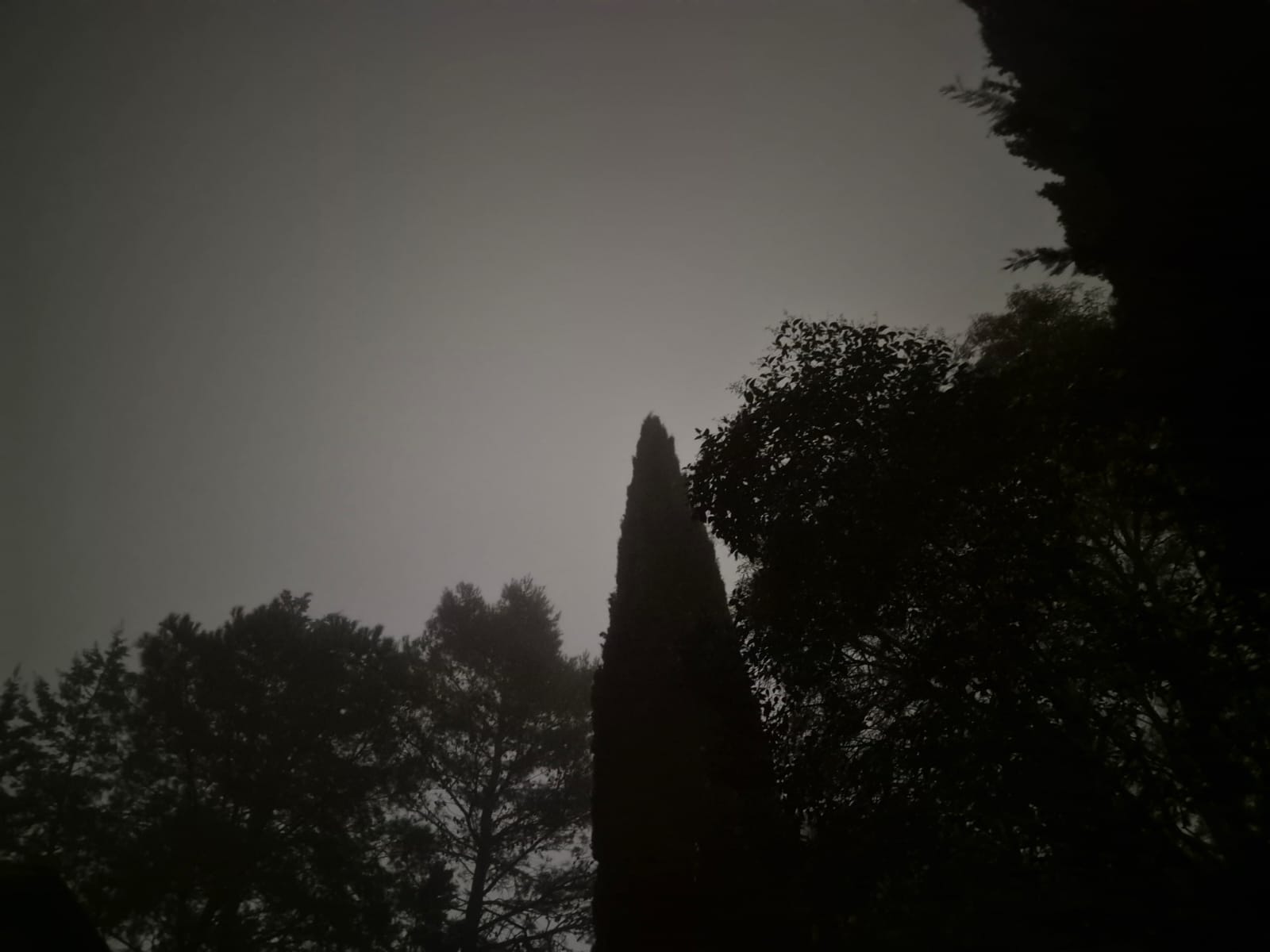 meteo 25